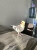 IMG_3810.jpeg