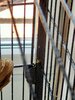 IMG_2498.jpeg