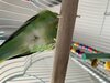 A5E12850-9BA7-497D-9084-CFDD01ECC675.jpeg