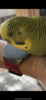 IMG_4165.png