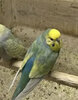 IMG_5734.jpeg
