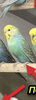 IMG_5738.jpeg