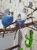 IMG_20230723_151207.jpg