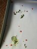IMG_20230812_065418.jpg
