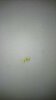 DSC_0277.jpeg