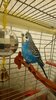 DSC_0281.jpeg