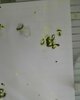 _20230825_204206.jpeg