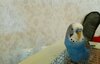 DSC_0287~2.jpeg