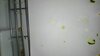 DSC_0302.jpeg