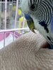 A4885EEC-F468-4A59-8C19-0101ECE7CF70.jpeg