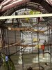 IMG_9272.jpeg