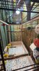 IMG_6706.jpeg