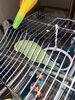 IMG_6675.jpeg
