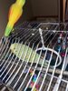 IMG_6674.jpeg
