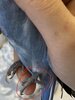 IMG_1063.jpeg