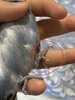 IMG_1073.jpeg