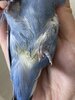 IMG_1183.jpeg