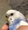 IMG_5895.jpeg