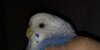 IMG_5885.jpeg