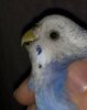IMG_5893.jpeg