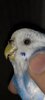 IMG_5888.jpeg