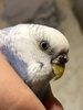 IMG_5896.jpeg