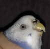 IMG_5890.jpeg