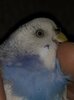 IMG_5889.jpeg