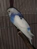 IMG_5913.jpeg