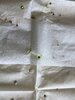 IMG_5922.jpeg