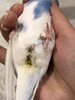 IMG_5869.jpeg
