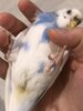 IMG_5860.jpeg