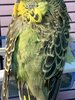 IMG_0928.jpeg