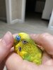 IMG_0331.jpeg