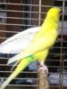 20160418_143124-1.jpg