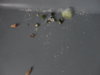 DSC02754.JPG