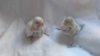 IMG-20160419-WA0000.jpg