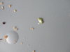 DSC02757.JPG