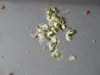 DSC02758.JPG