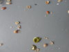 DSC02759.JPG
