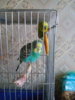 20160420_192126.jpg