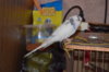 DSC_0323.JPG