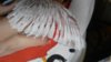 IMG_20160421_082806.jpg