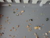 DSC02766.JPG