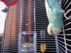 DSC01096.JPG