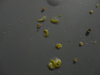 DSC02780.JPG