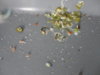 DSC02781.JPG