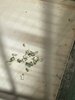 IMG_8403.jpeg