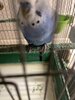IMG_8404.jpeg