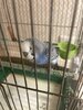 IMG_8402.jpeg